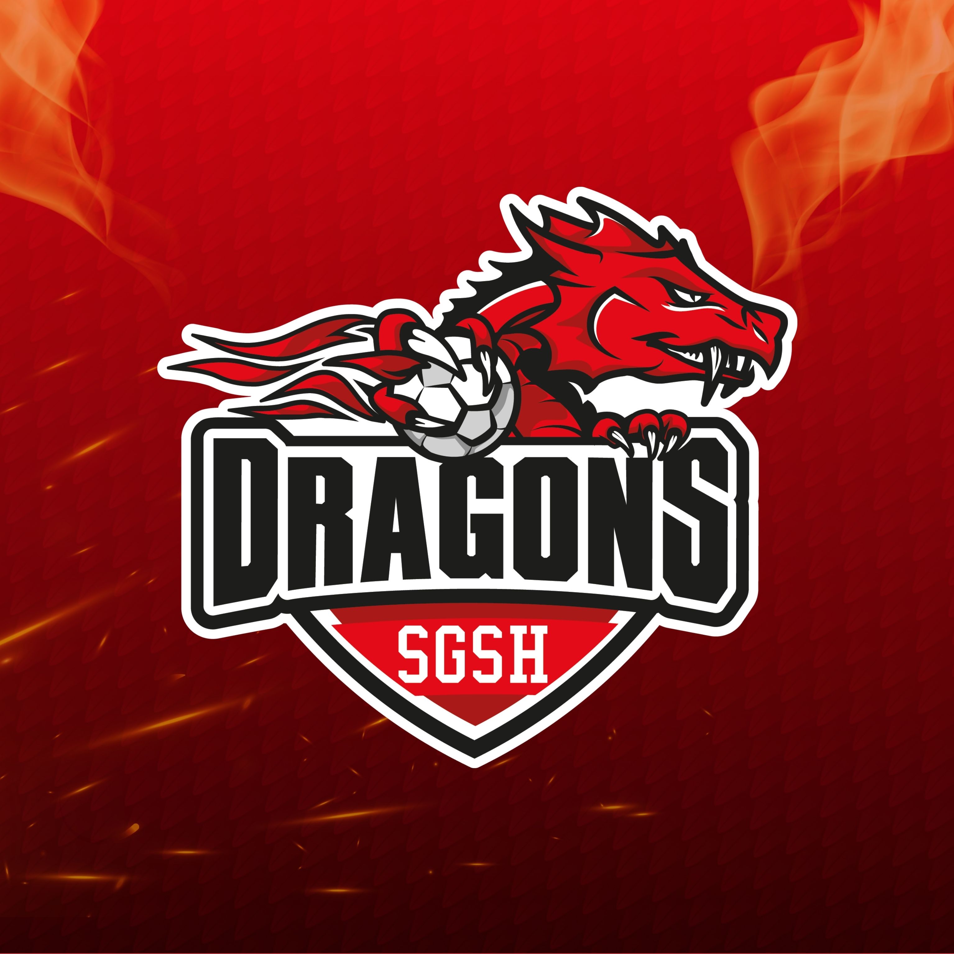 SGSH DRAGONS E.V.