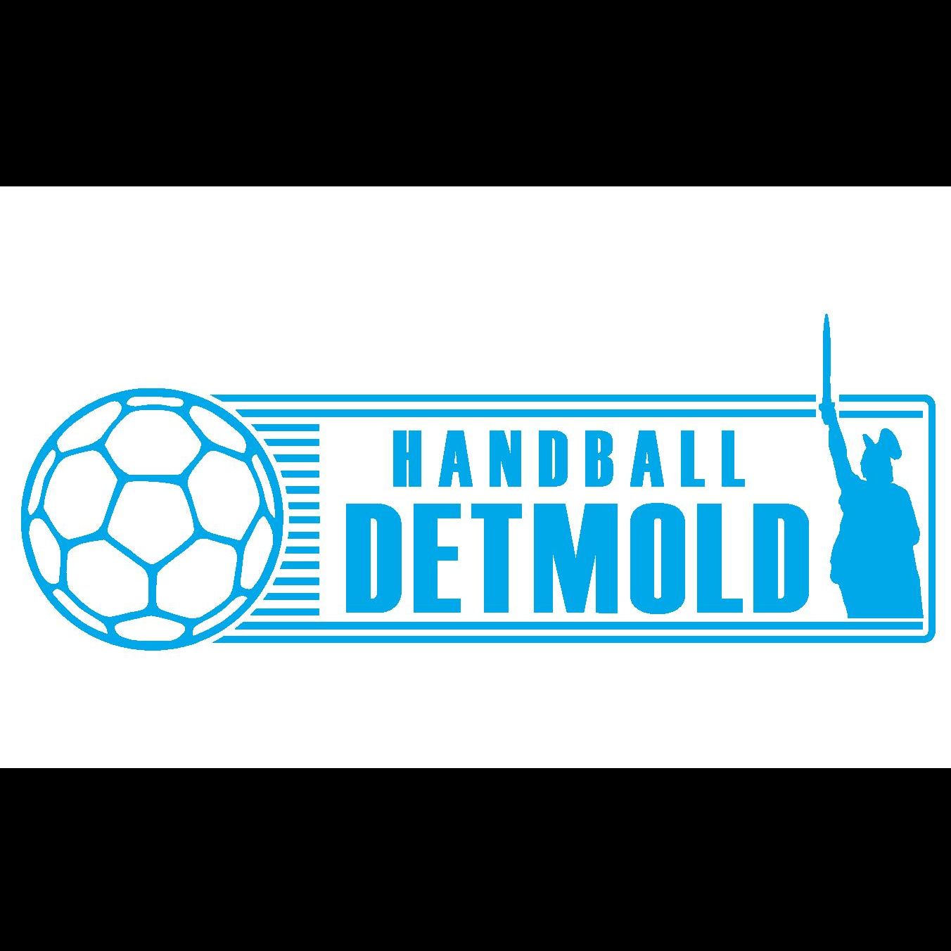 SG HANDBALL DETMOLD 2