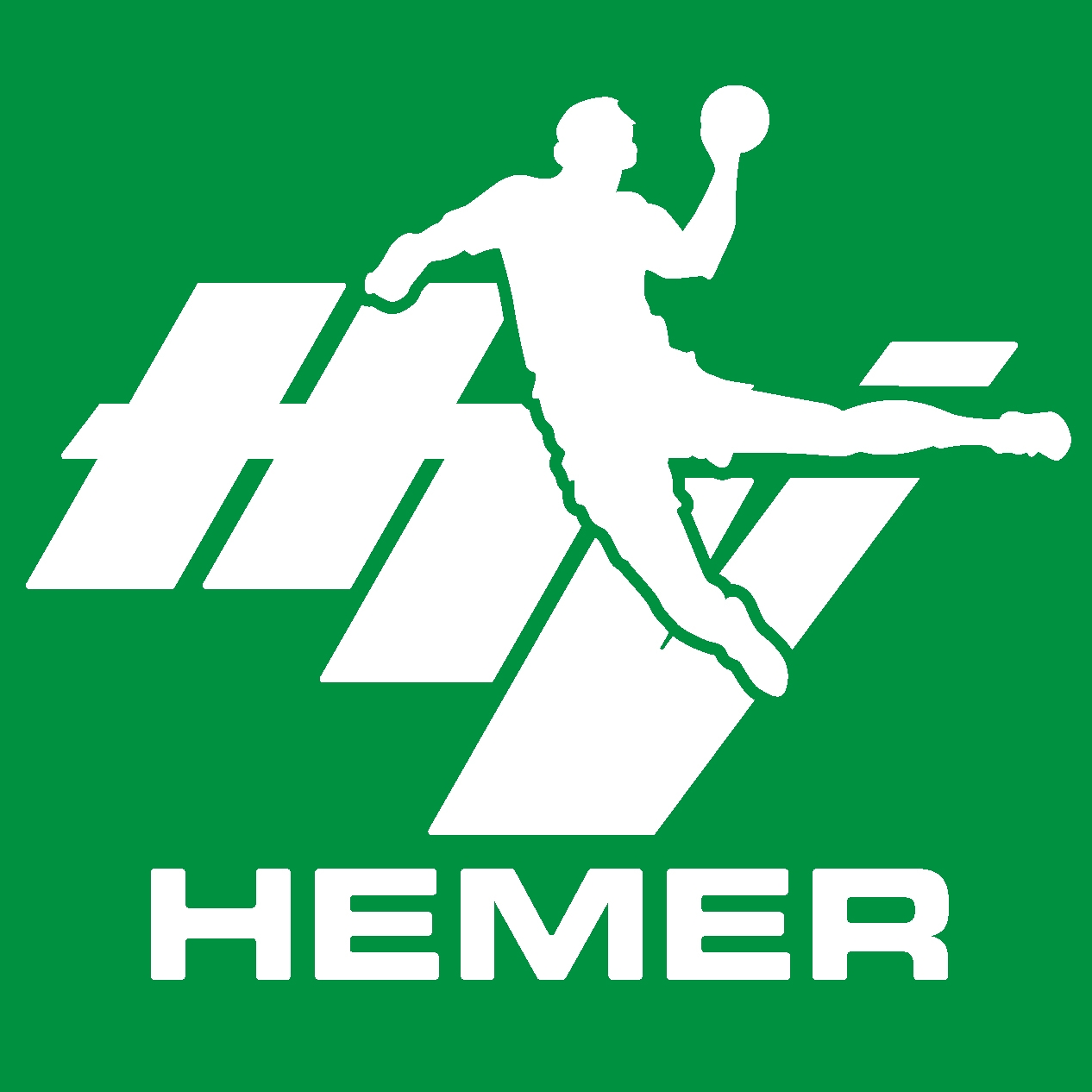 HTV HEMER