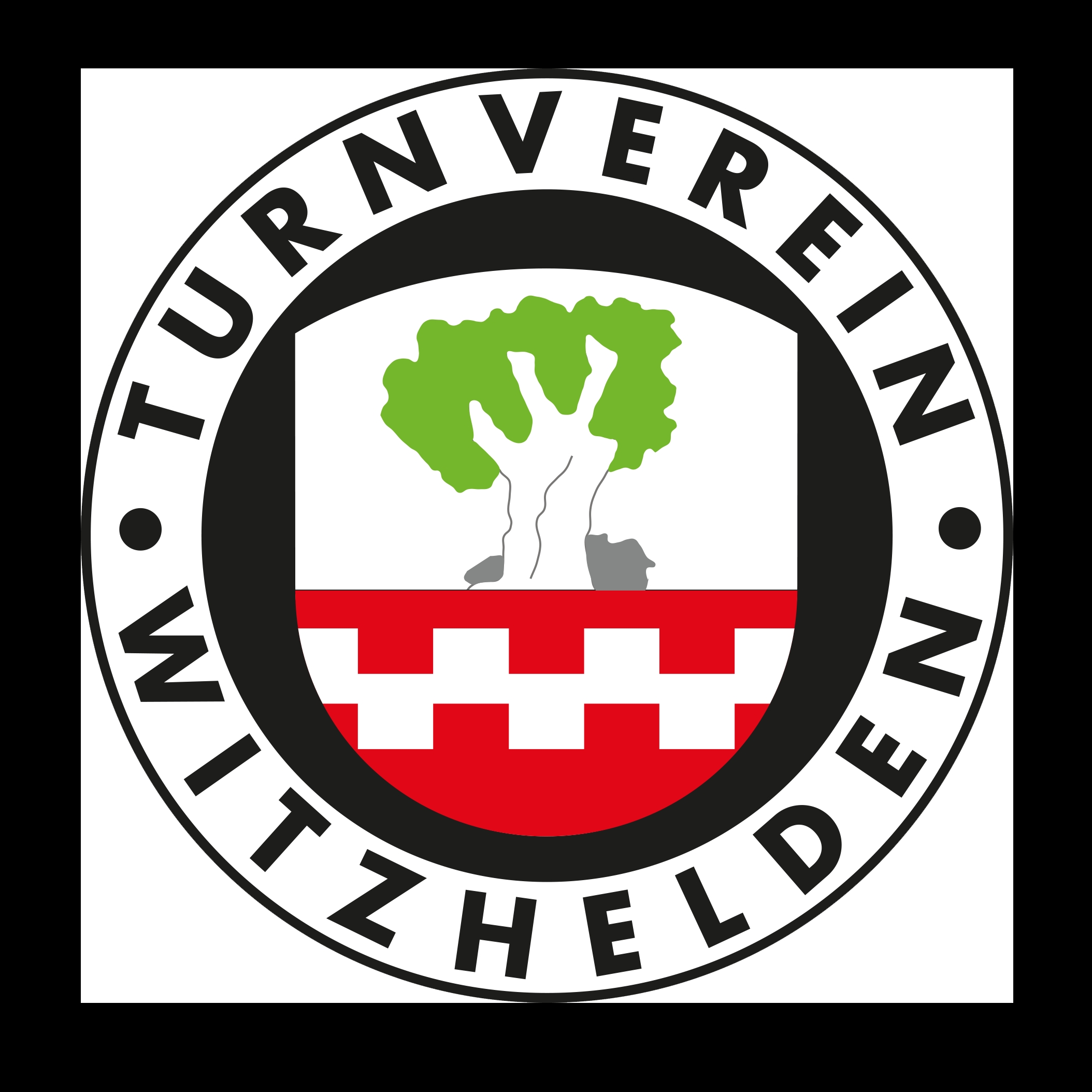 TV WITZHELDEN II