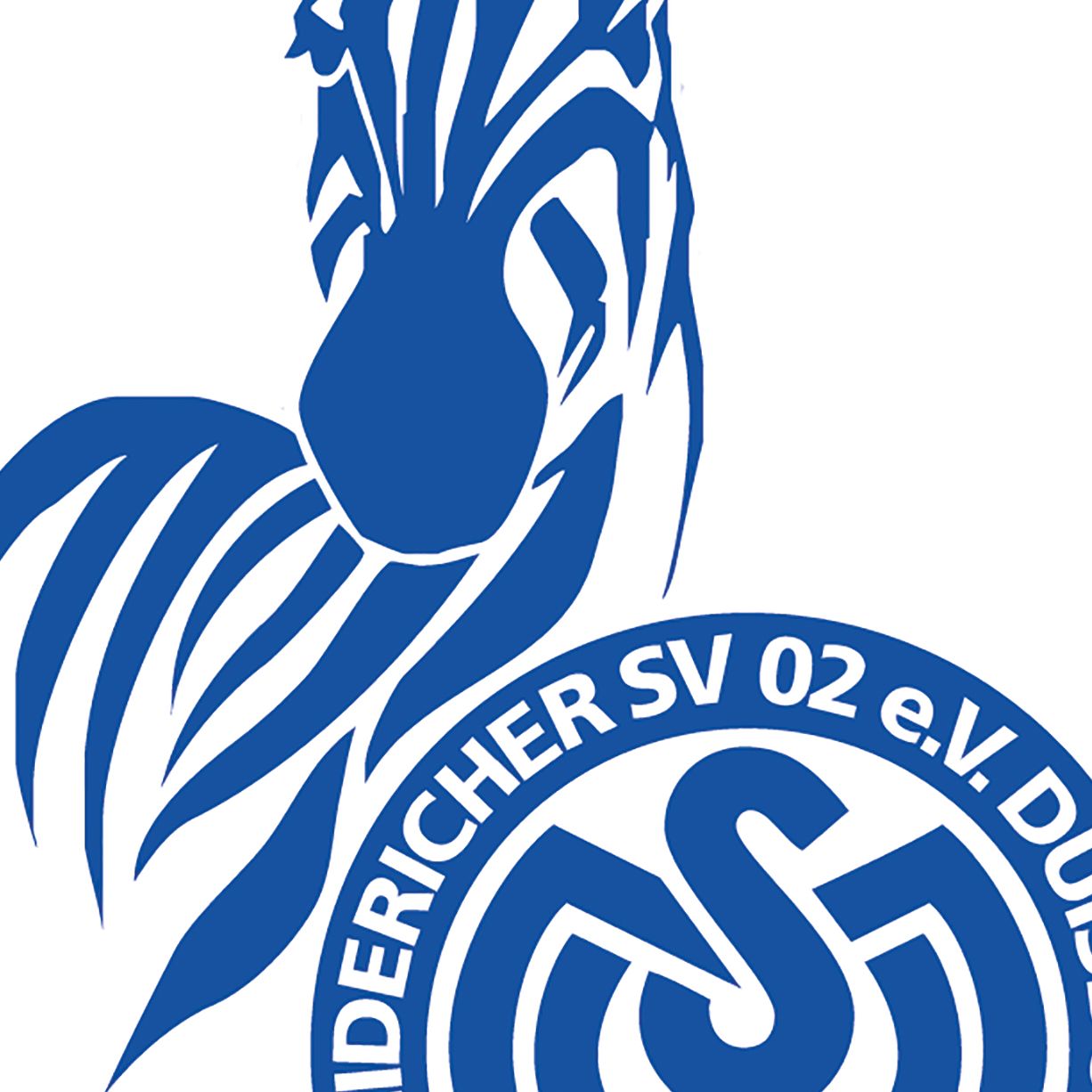 MSV DUISBURG HANDBALL