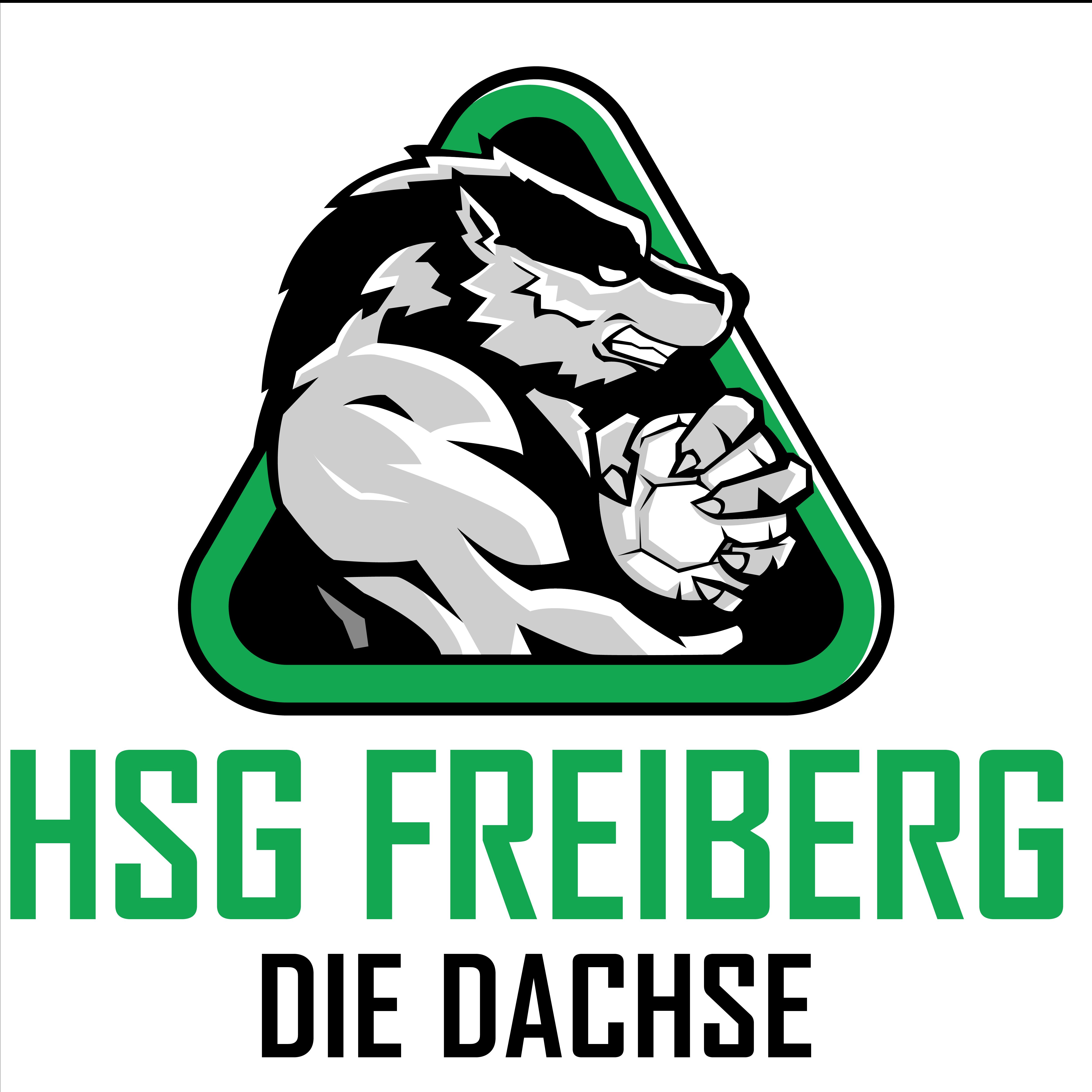 HSG FREIBERG II