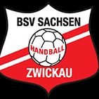 BSV SA. ZWICKAU II