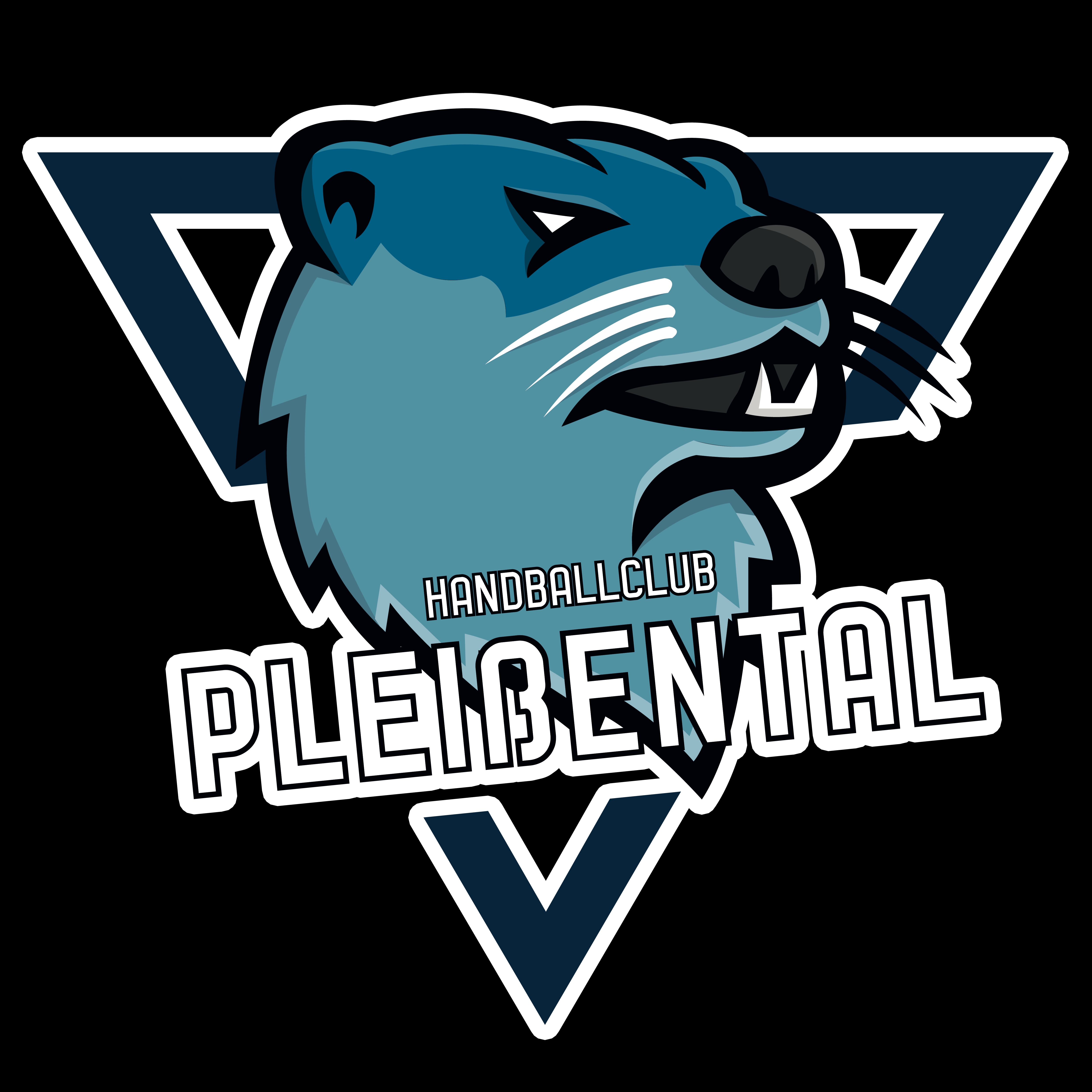 HC PLEISSENTAL