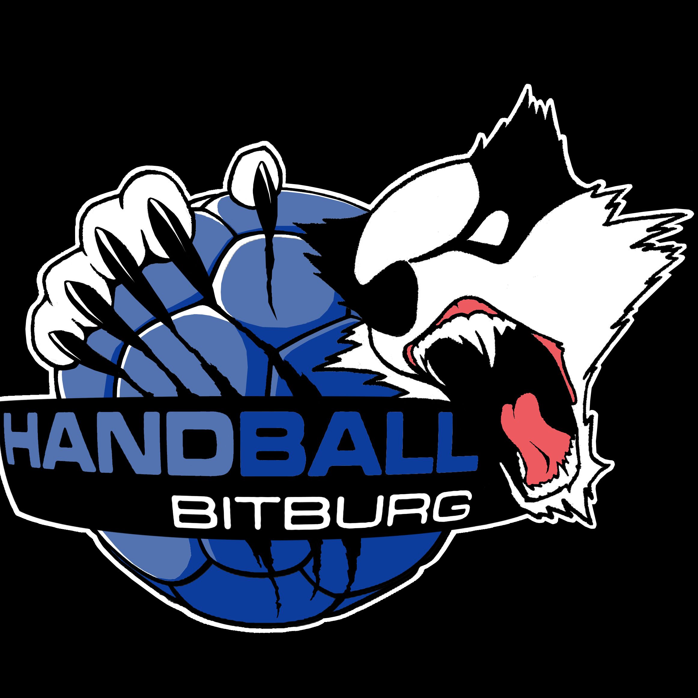 TV BITBURG