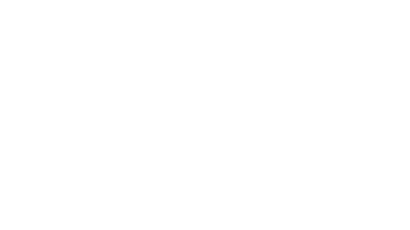 Verificacion de seguridad